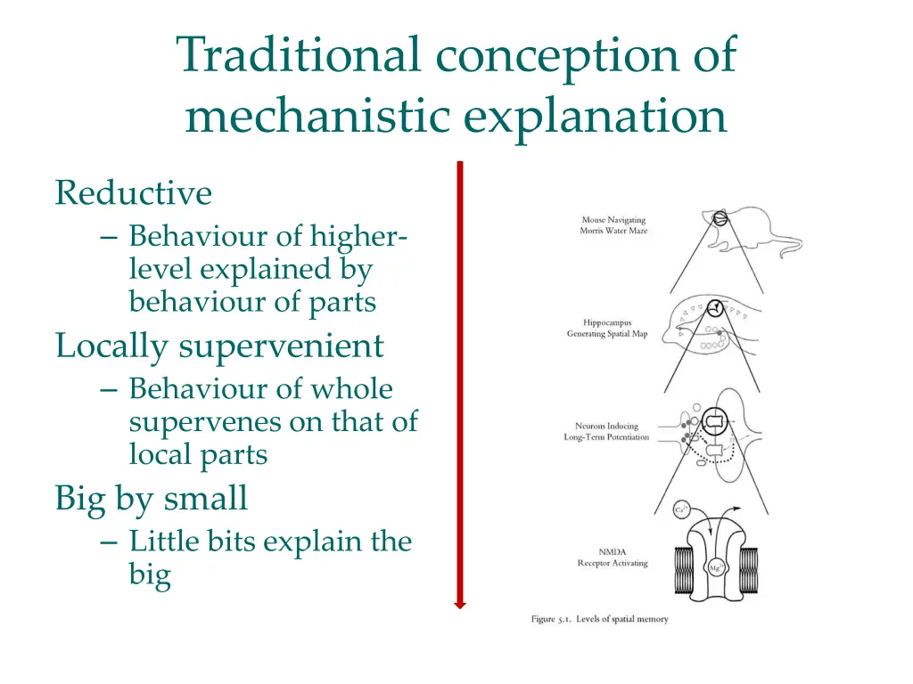 traditional conception of mechanistic explanation