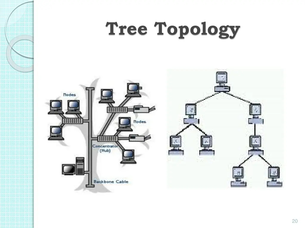 tree topology 1