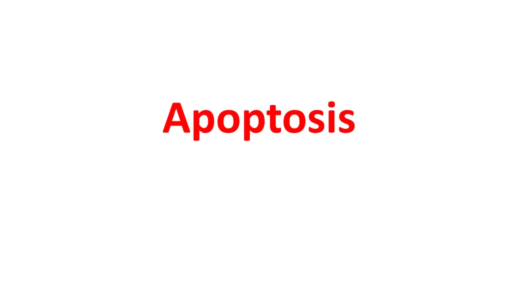 apoptosis