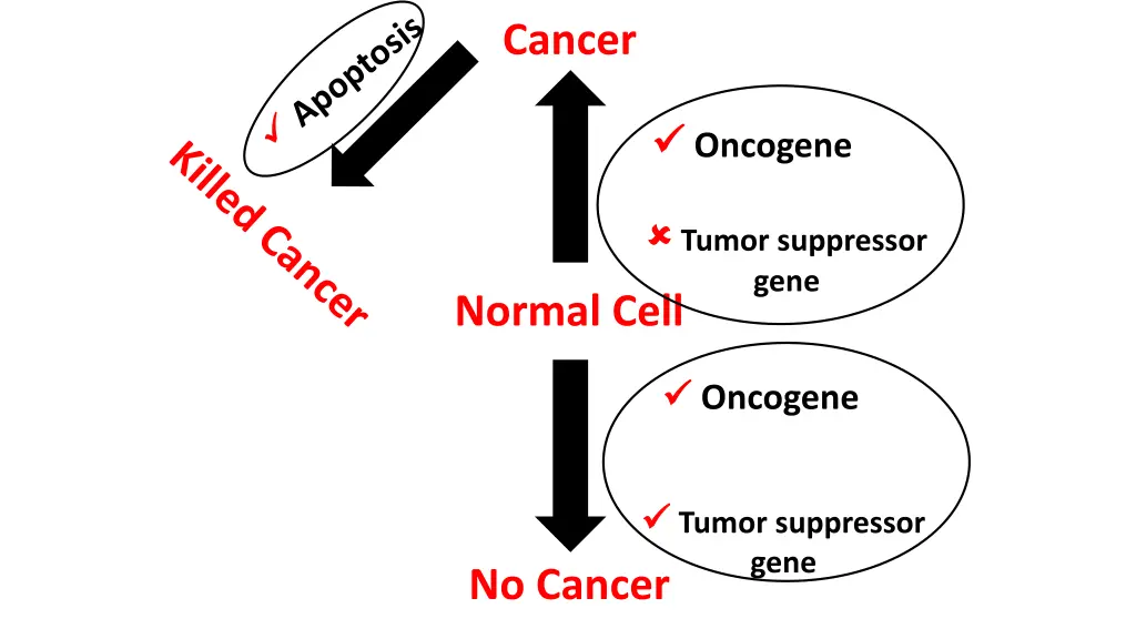 cancer