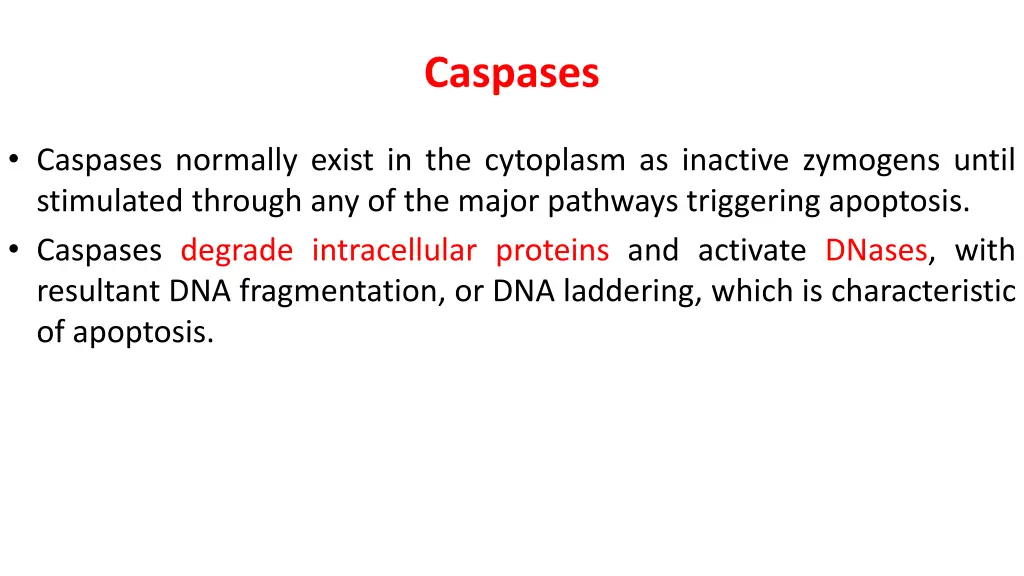 caspases