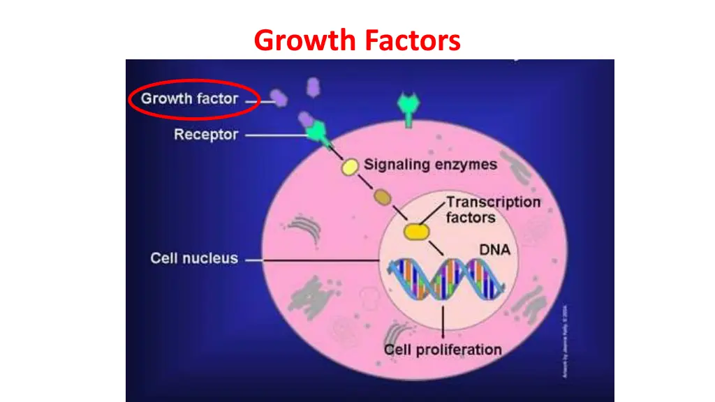 growth factors