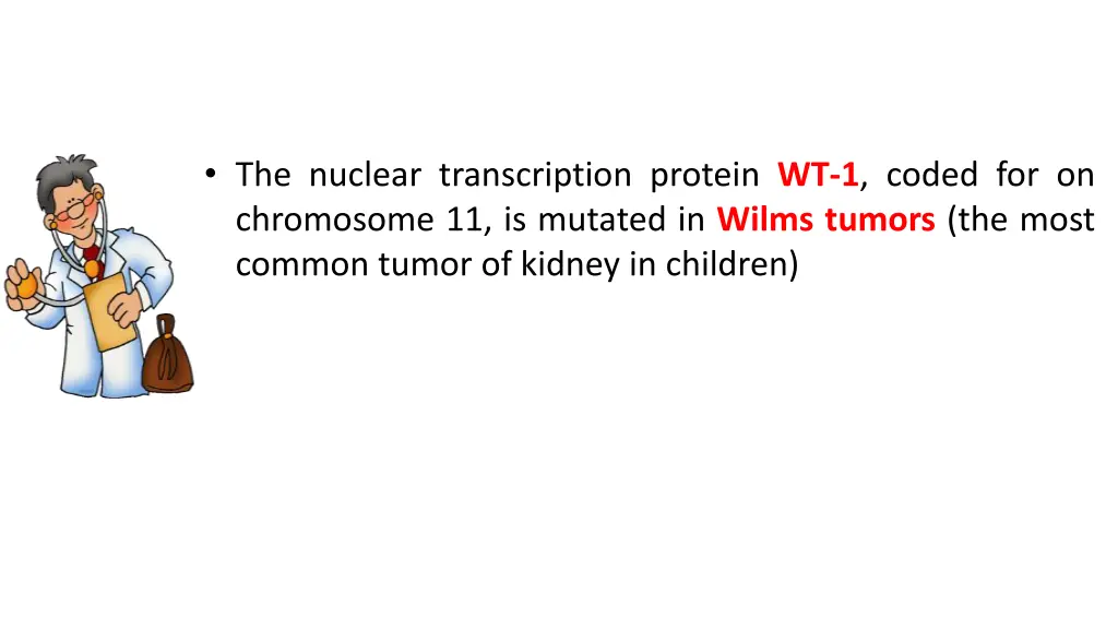 the nuclear transcription protein wt 1 coded