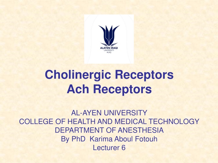cholinergic receptors ach receptors