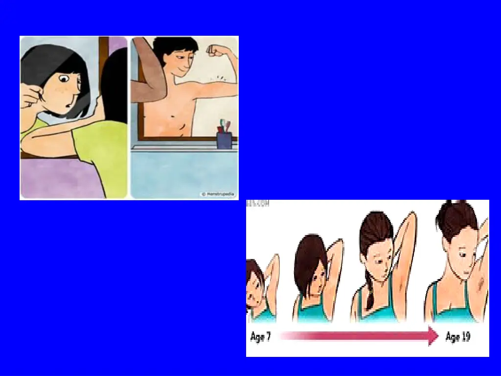 slide22