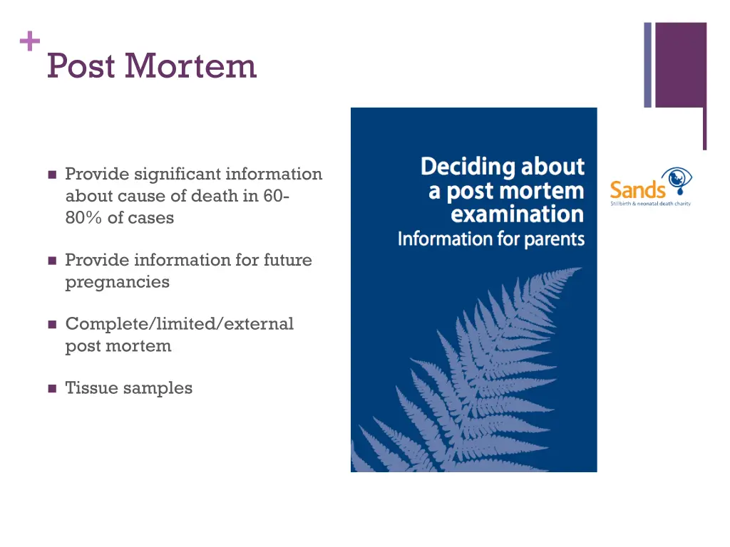 post mortem