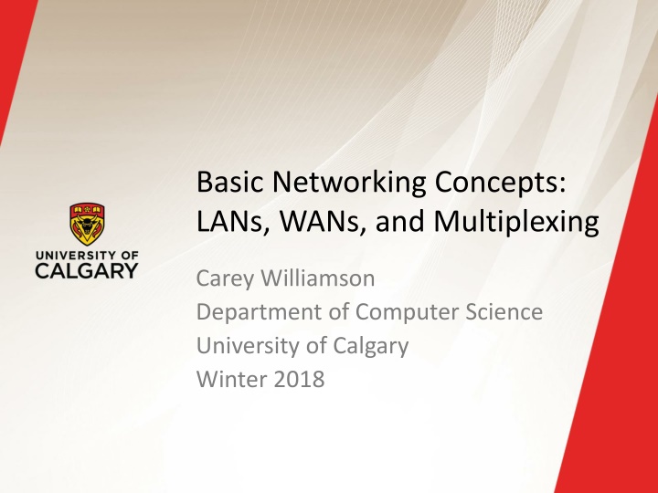 basic networking concepts lans wans