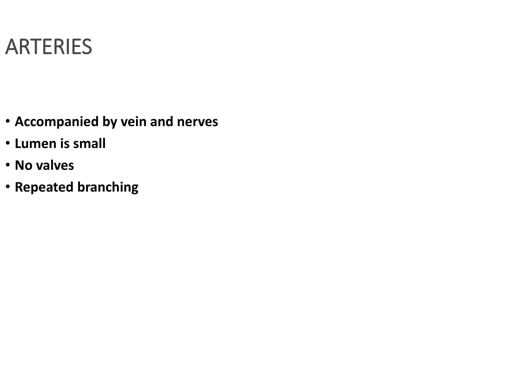 arteries arteries 1