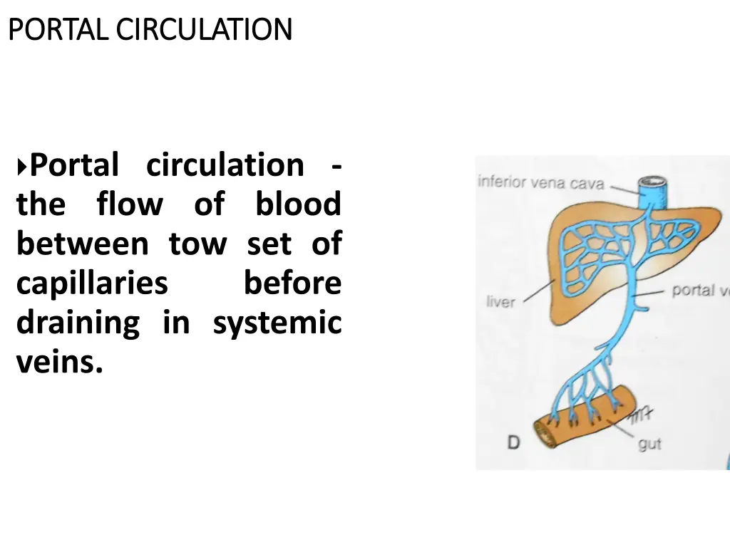 portal circulation portal circulation