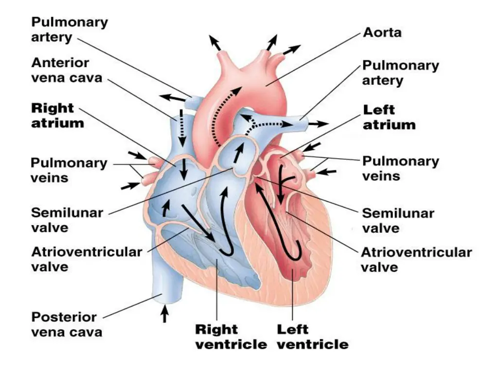 slide8