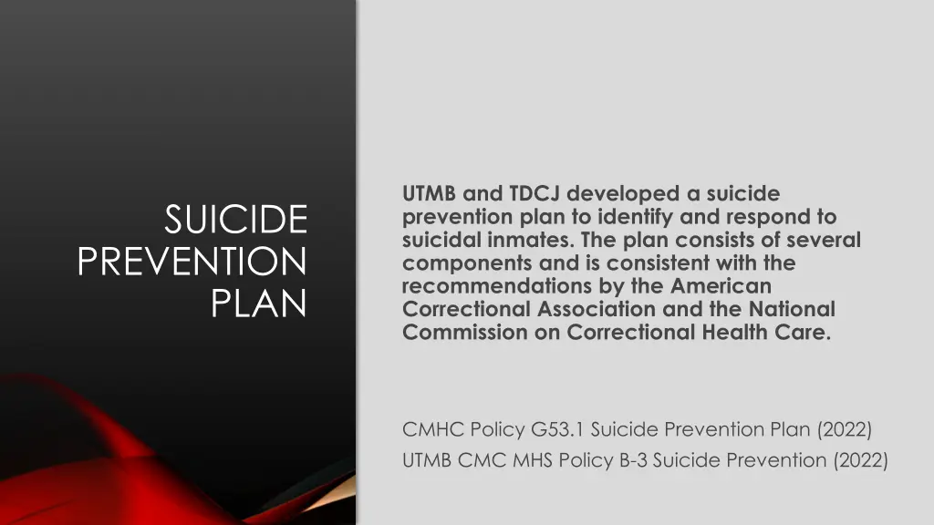 utmb and tdcj developed a suicide prevention plan