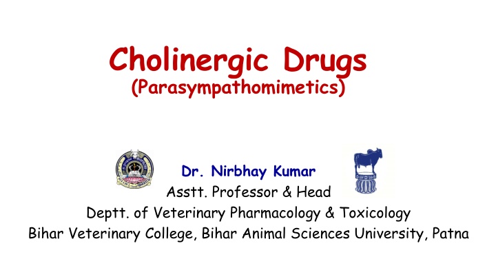 cholinergic drugs parasympathomimetics