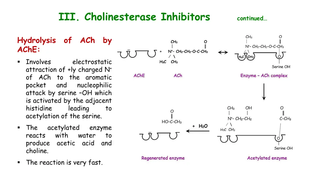 iii cholinesterase inhibitors continued