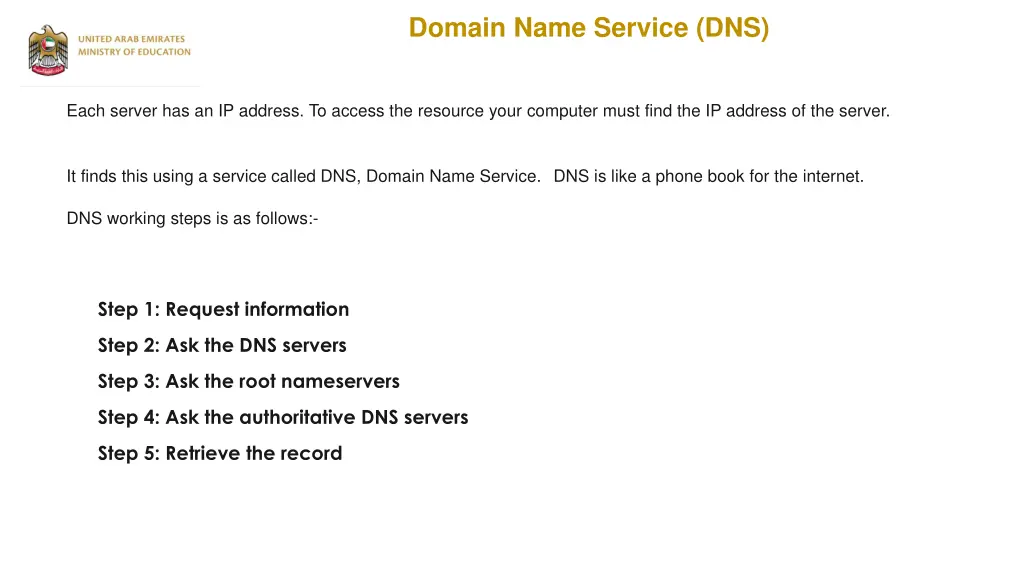 domain name service dns