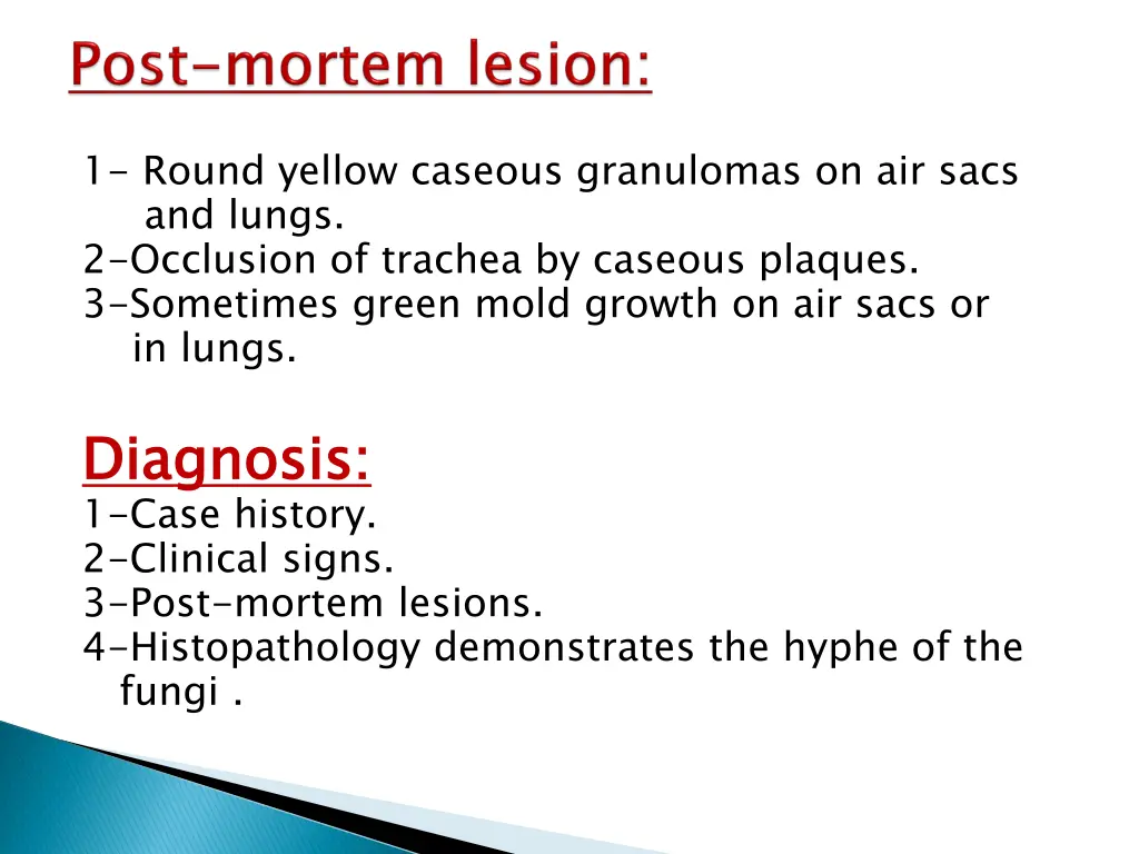 1 round yellow caseous granulomas on air sacs