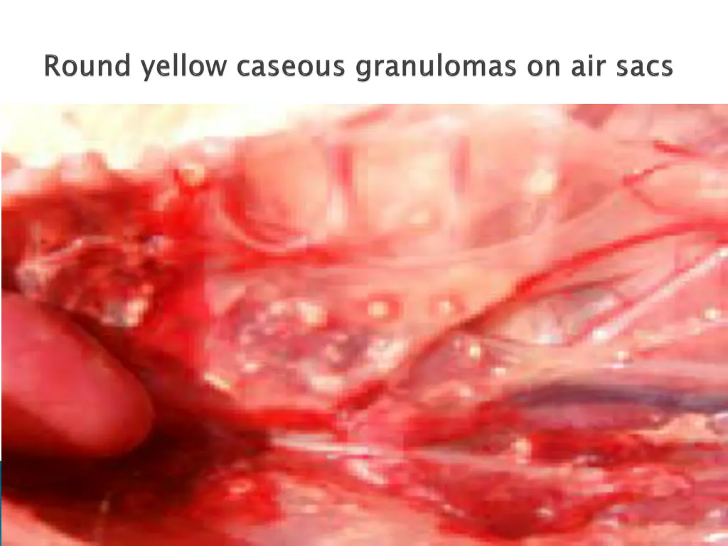 slide7