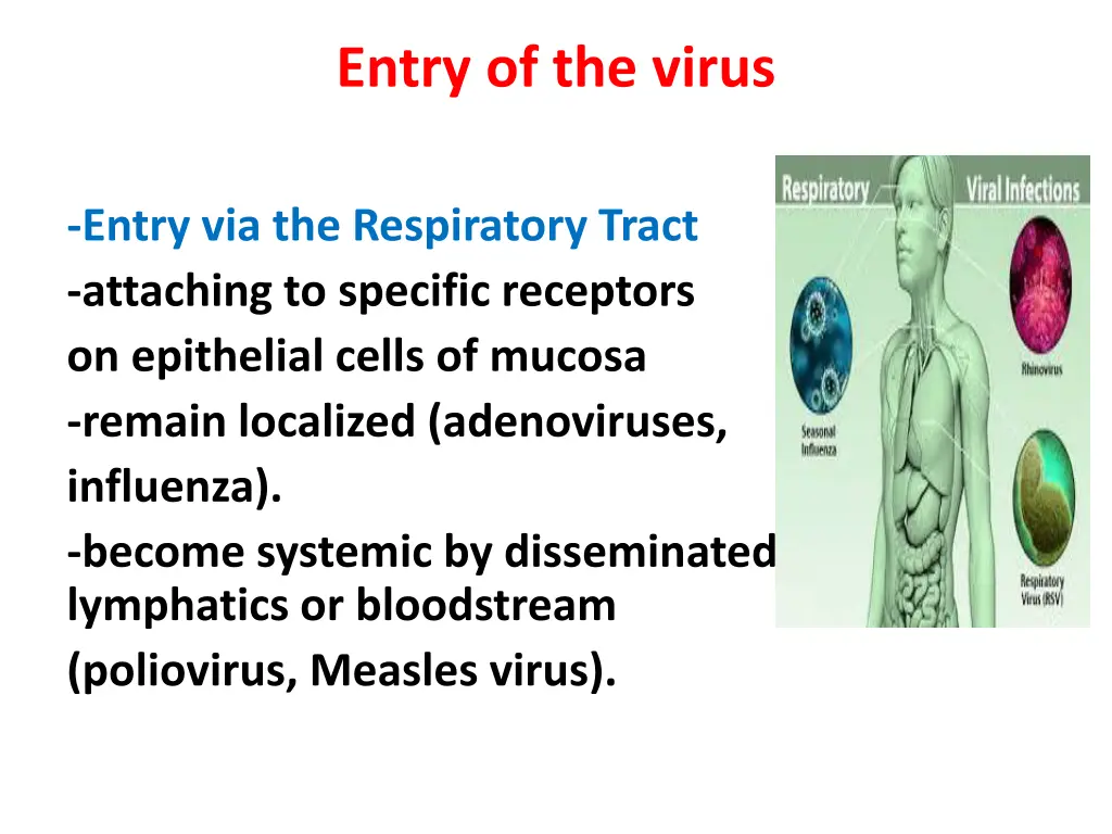 entry of the virus
