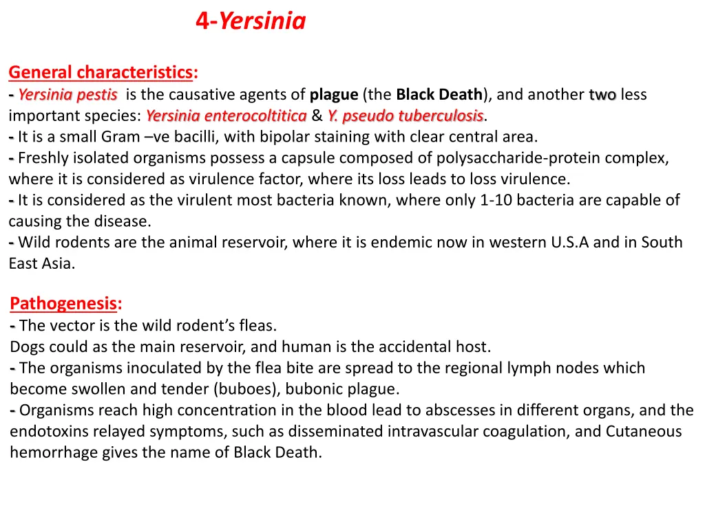 4 yersinia
