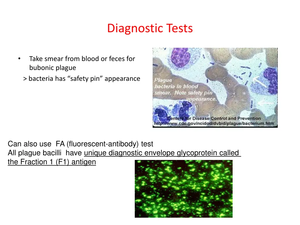 diagnostic tests