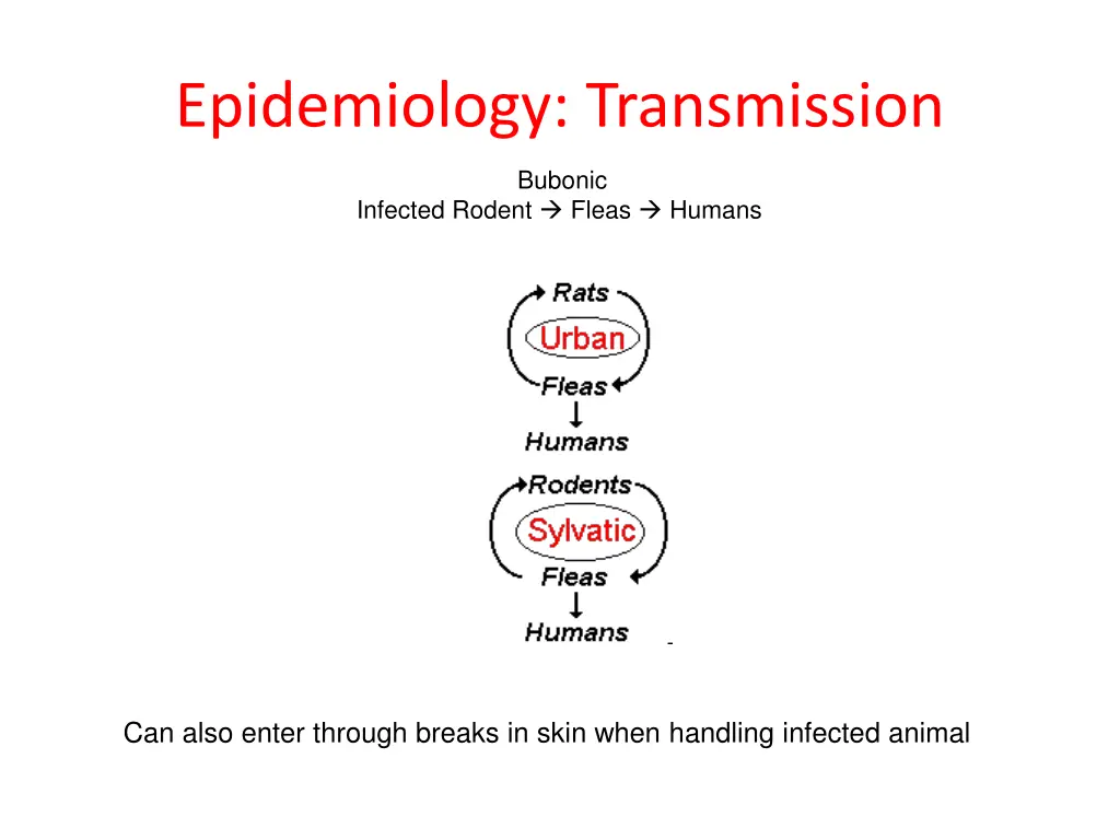 epidemiology transmission