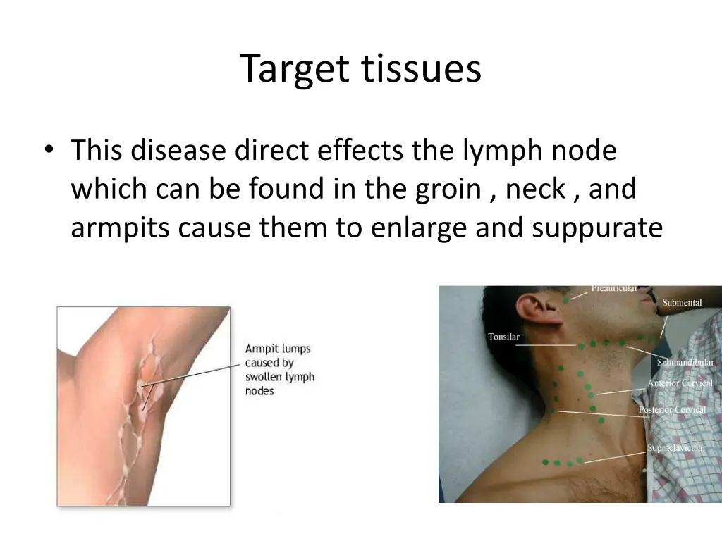 target tissues