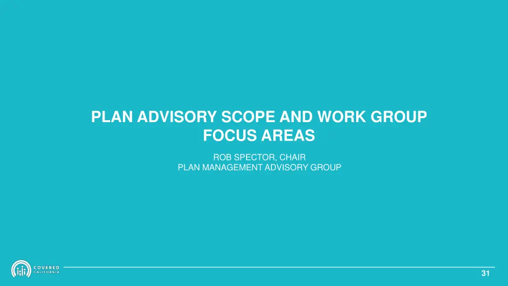plan advisory scope and work group focus areas