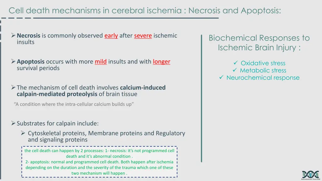 cell death mechanisms in cerebral ischemia