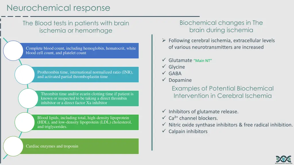 neurochemical response