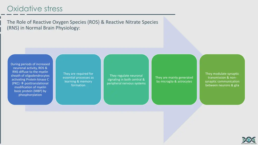 oxidative stress