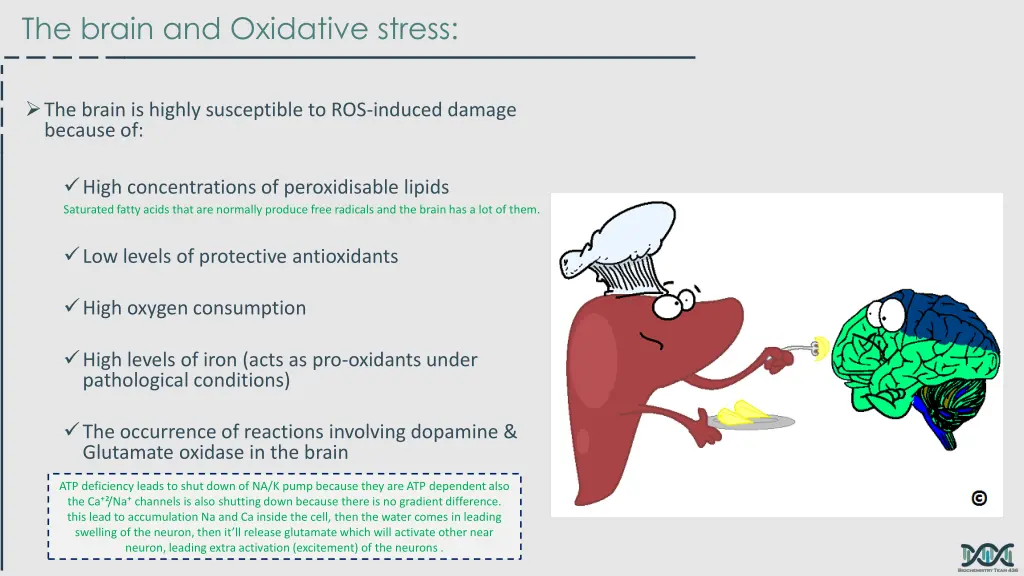 the brain and oxidative stress