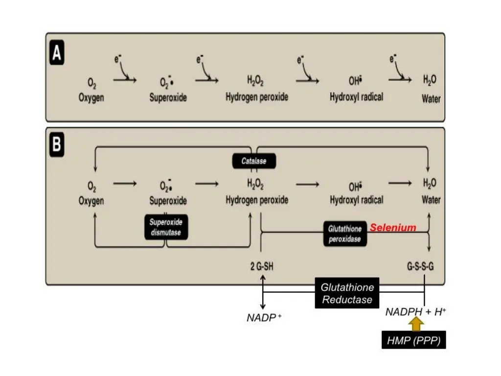 slide11