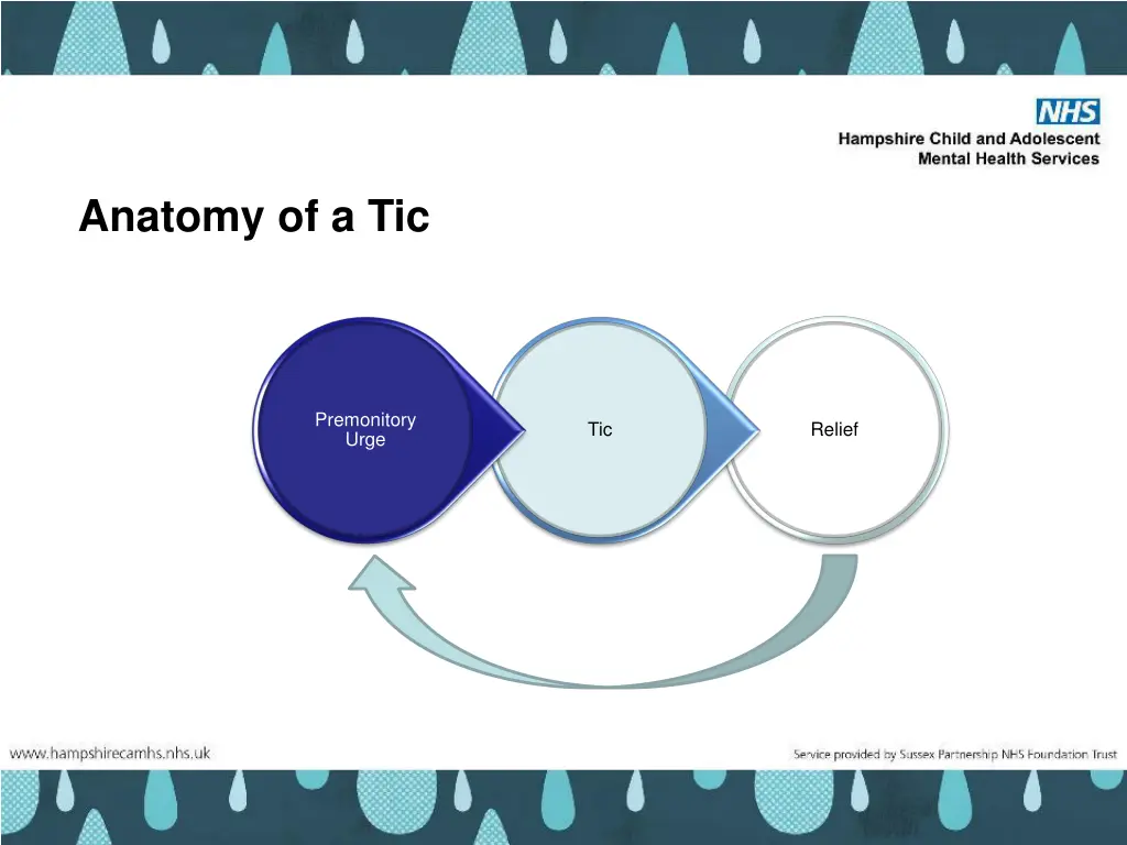 anatomy of a tic