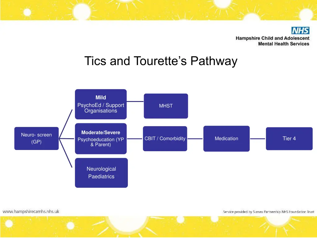 tics and tourette s pathway
