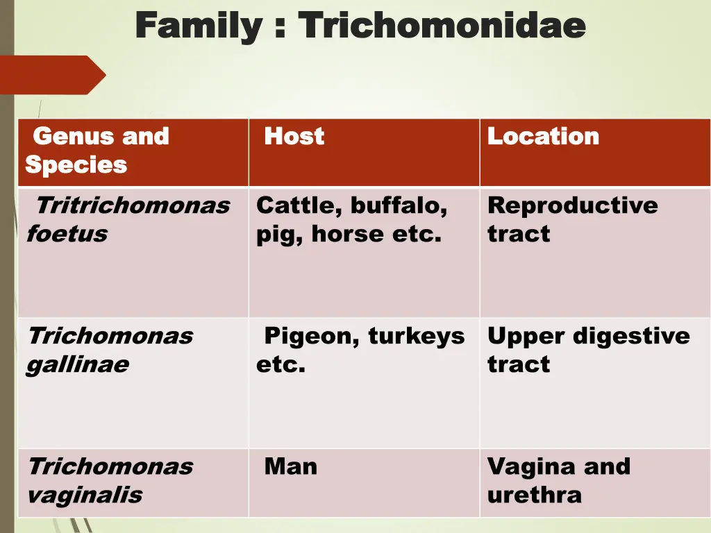 family family trichomonidae trichomonidae 1