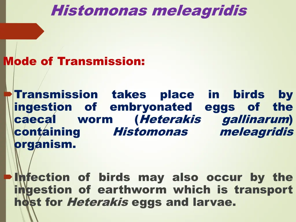 histomonas meleagridis 1