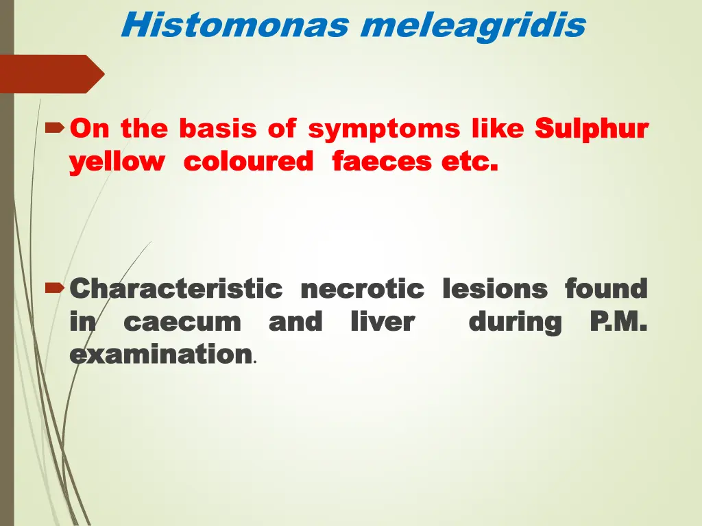 histomonas meleagridis 4