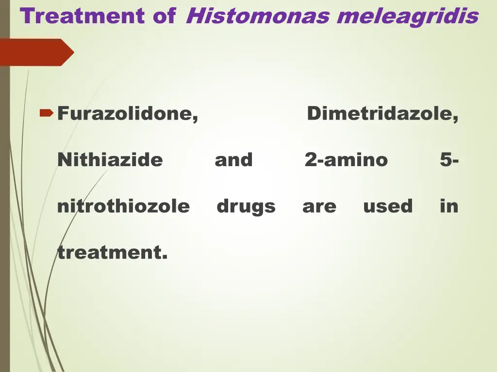treatment of histomonas meleagridis