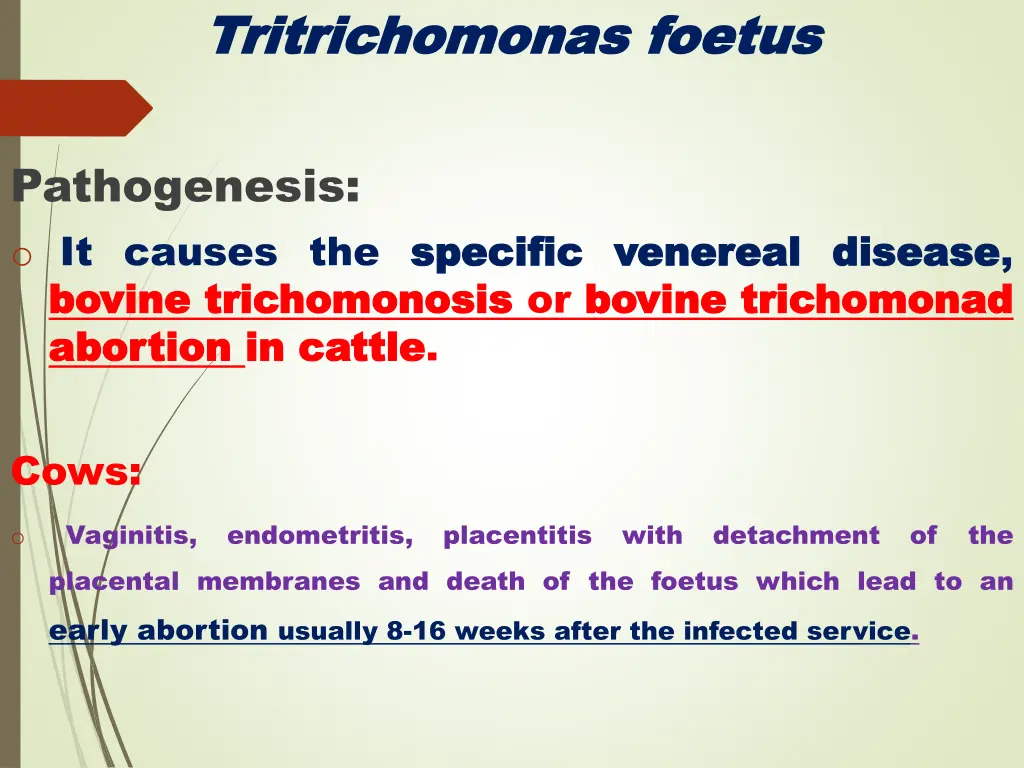 tritrichomonas tritrichomonas foetus 3