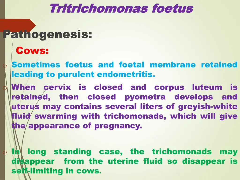 tritrichomonas tritrichomonas foetus 4
