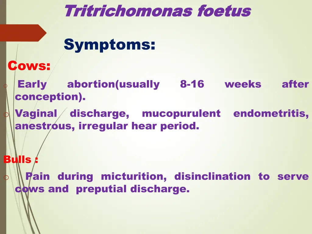tritrichomonas tritrichomonas foetus 6
