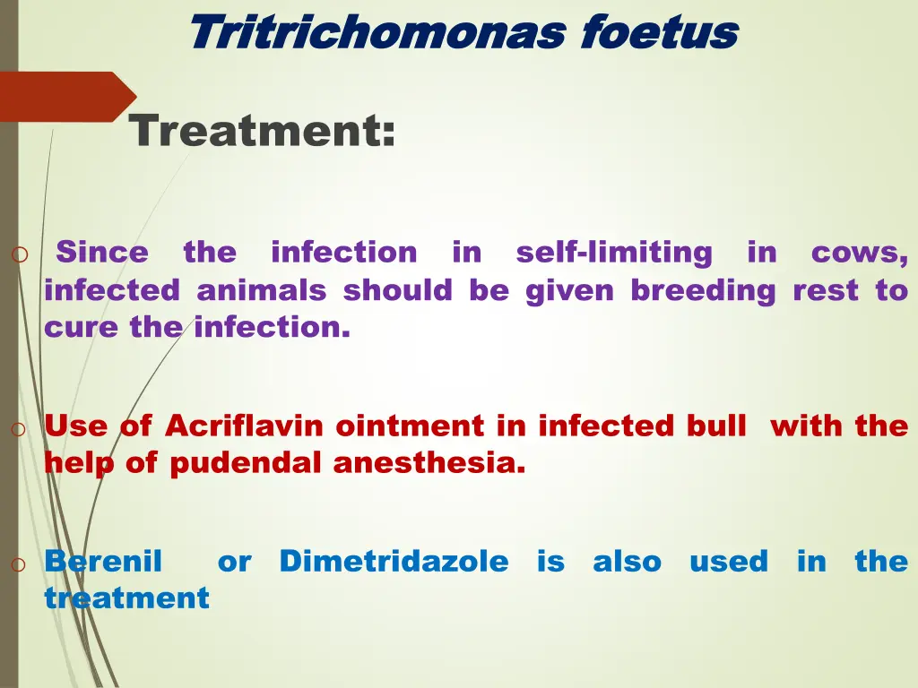 tritrichomonas tritrichomonas foetus 8