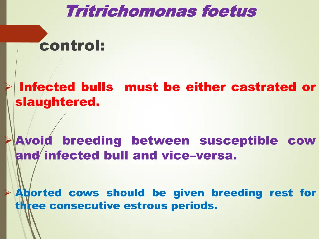 tritrichomonas tritrichomonas foetus 9