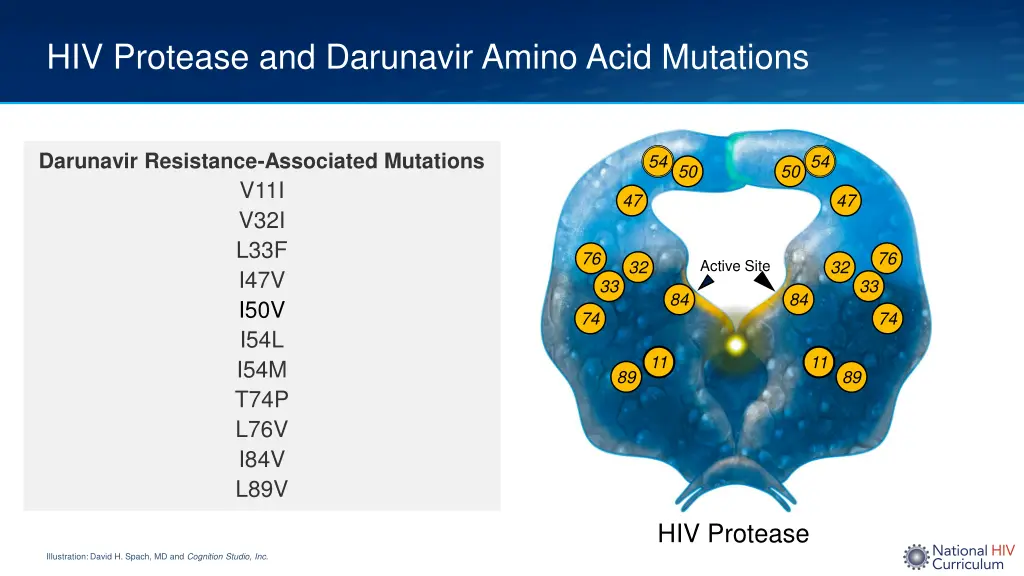 hiv protease and darunavir amino acid mutations