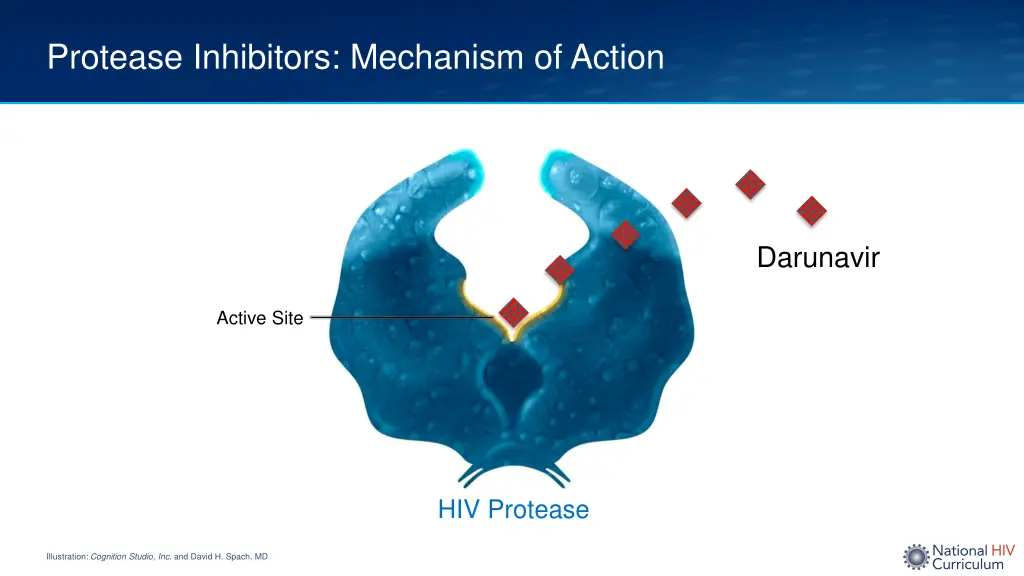 protease inhibitors mechanism of action