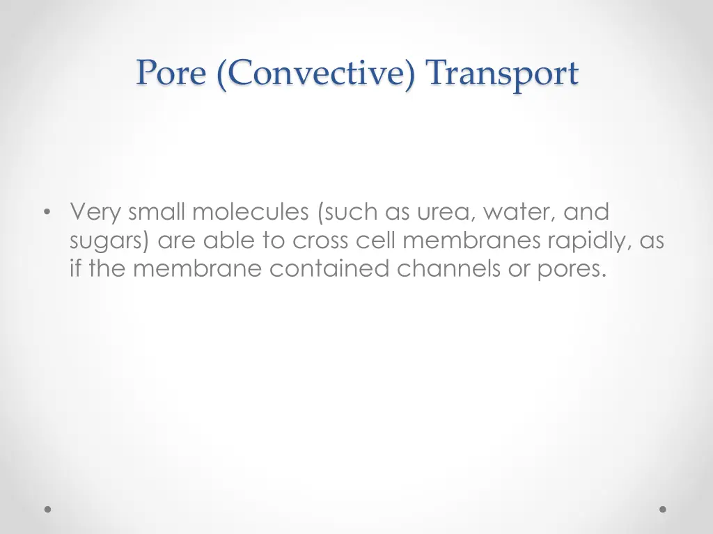 pore convective transport