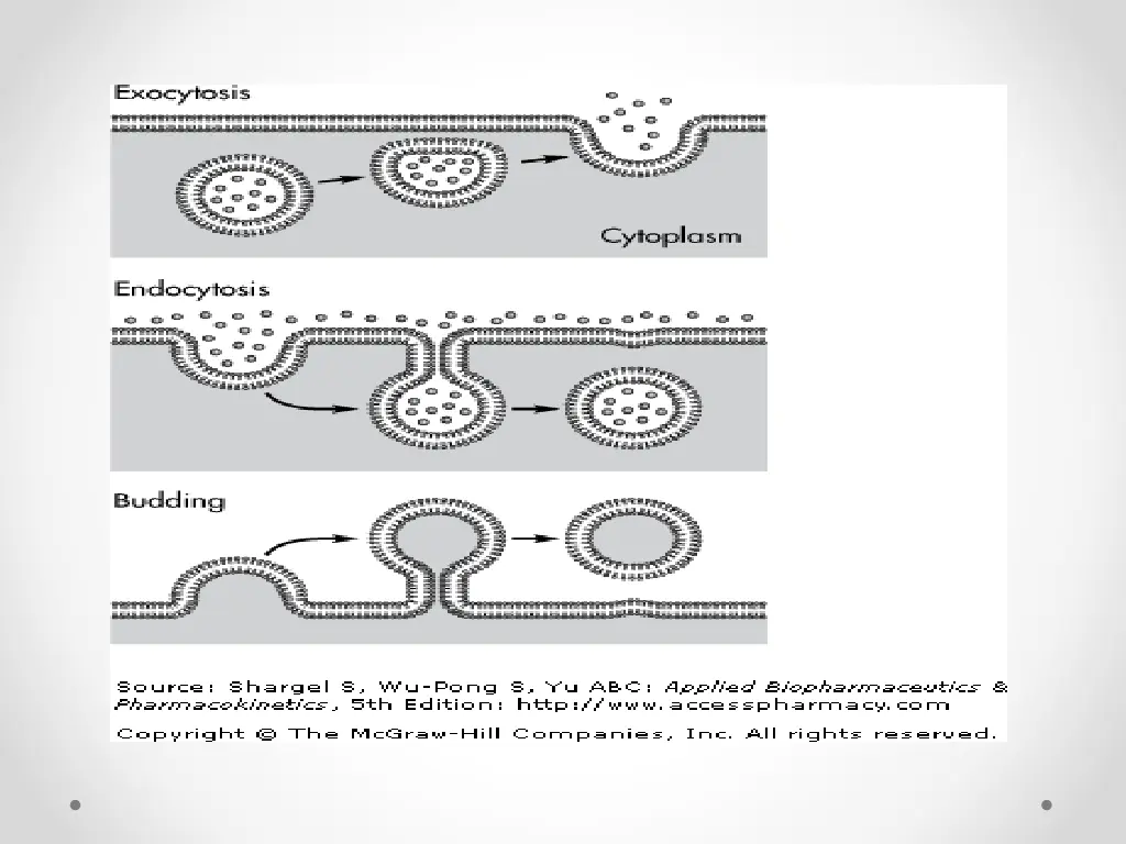 slide29
