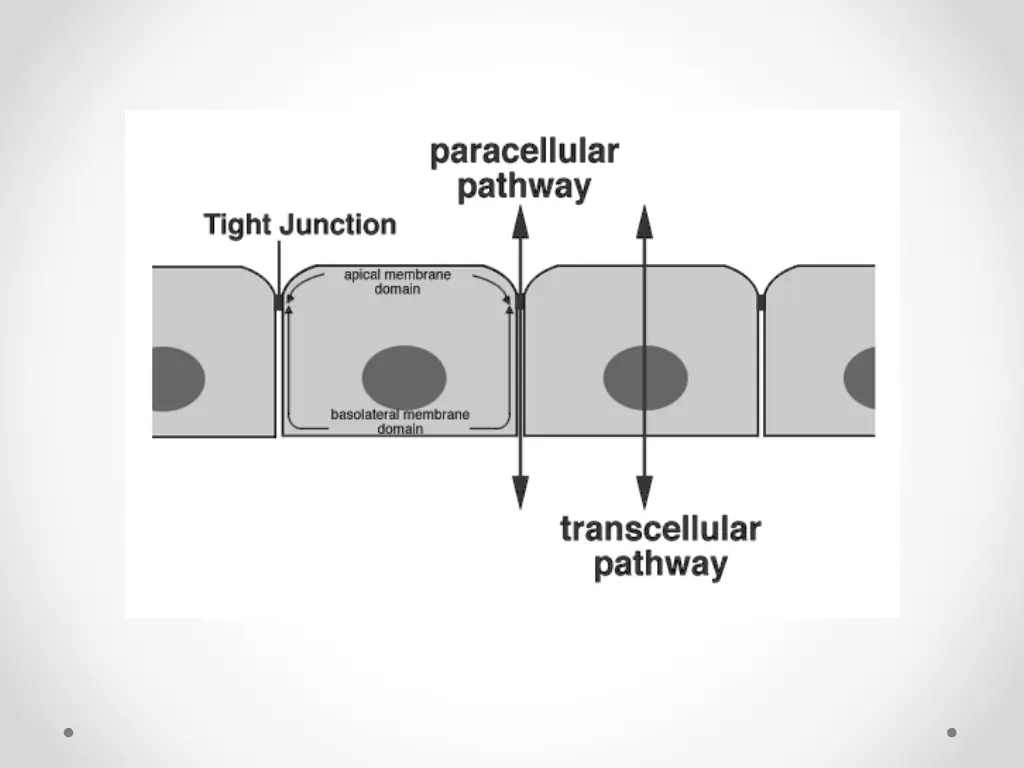 slide8