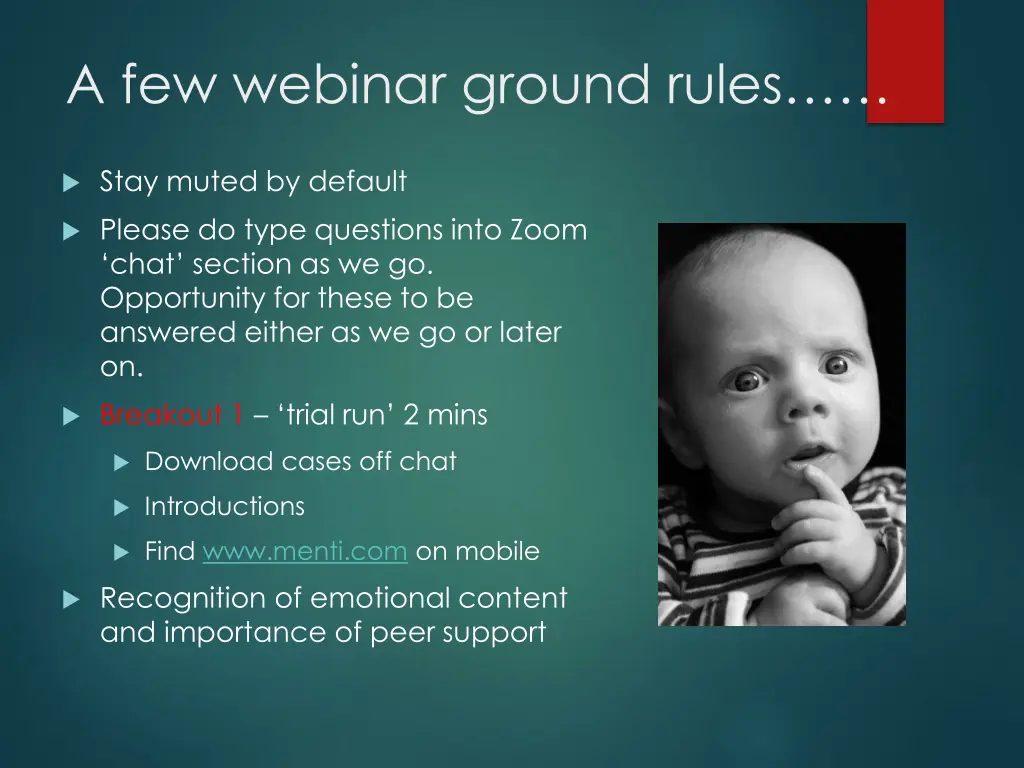 a few webinar ground rules