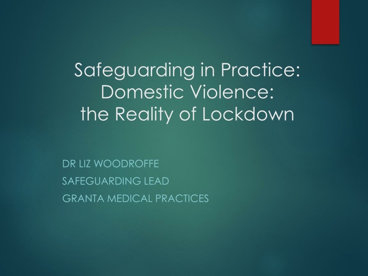 safeguarding in practice domestic violence