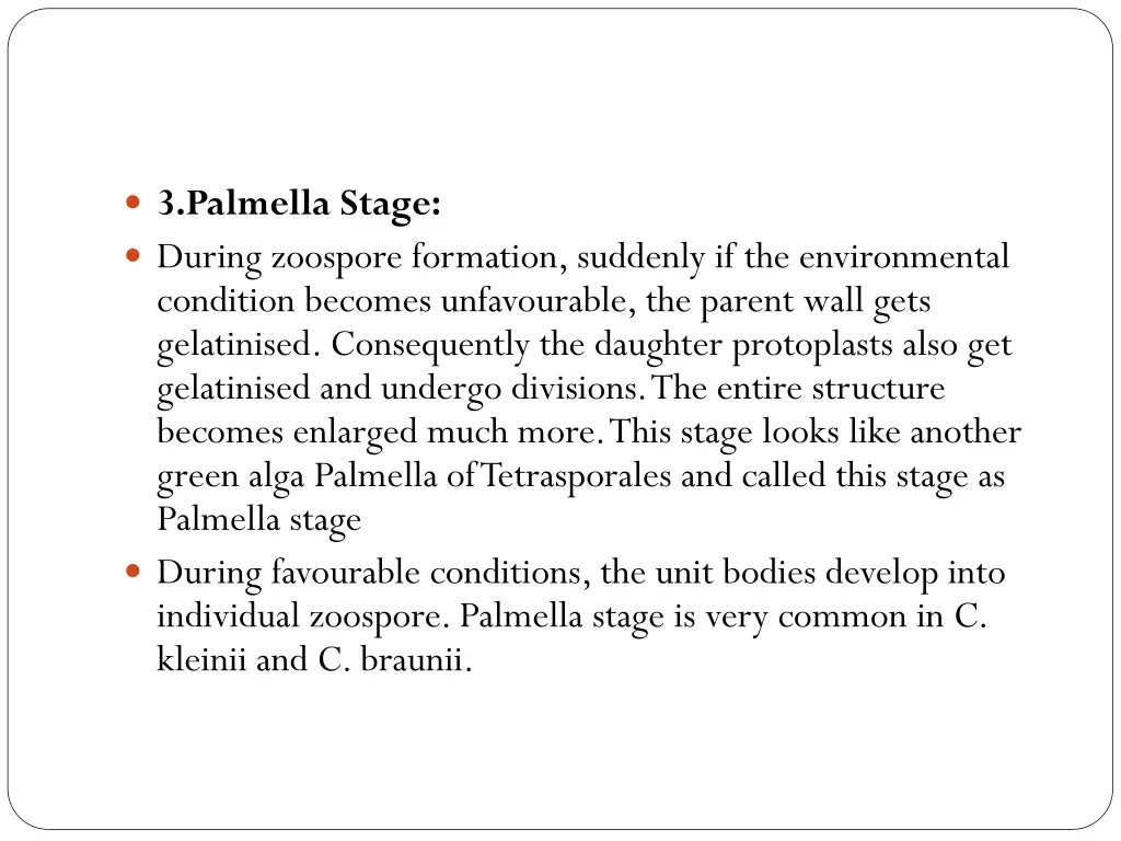 3 palmella stage during zoospore formation